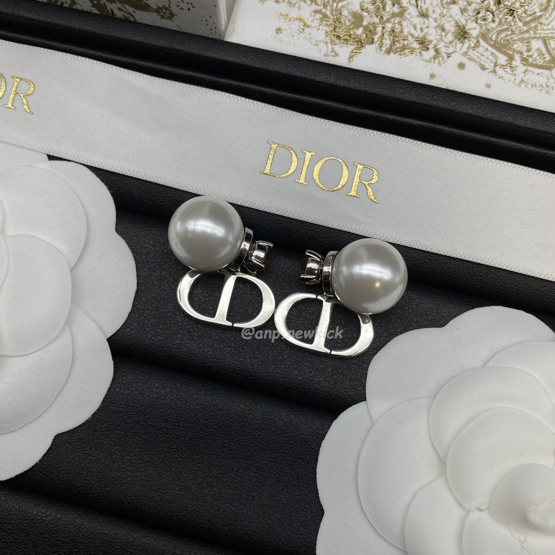 Dior Earrings (14) - www.newkick.vip